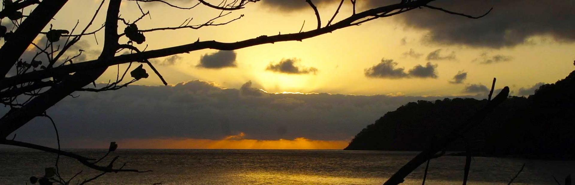 visit banner sunrise mouth web