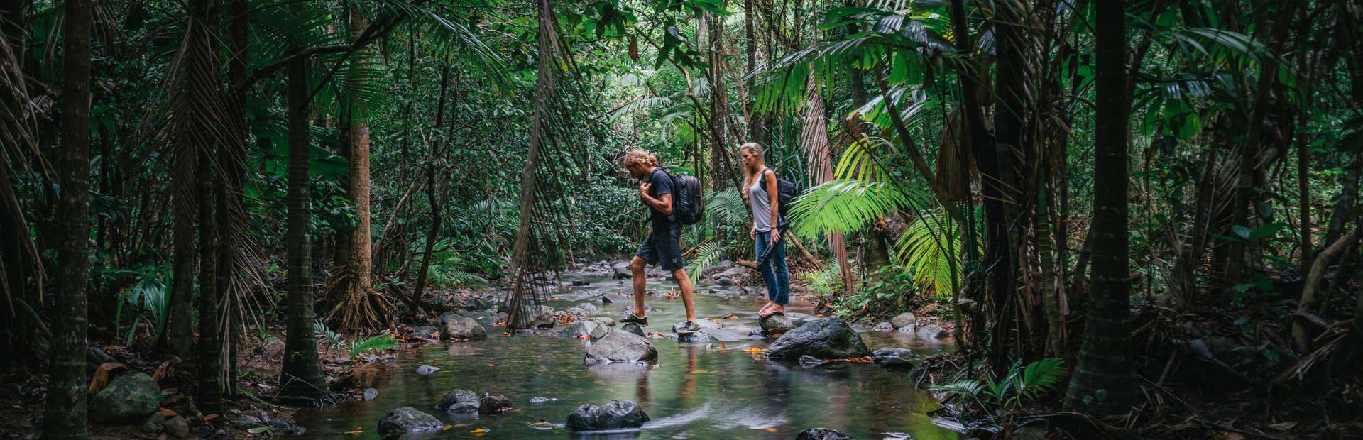 Tourism Tropical North Queensland 0SSPMGFDgxxVhbE web