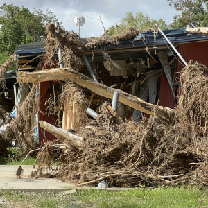 Cyclone Recovery Art Centre debris at rear of building large trees SMALL