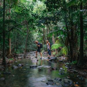 Tourism Tropical North Queensland 0SSPMGFDgxxVhbE web