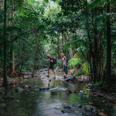 Tourism Tropical North Queensland 0SSPMGFDgxxVhbE web