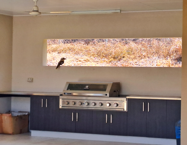 Kitchen Picture10
