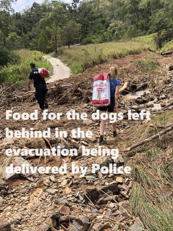 DOG FOOD BEING DELIVERED AROUND TOWN