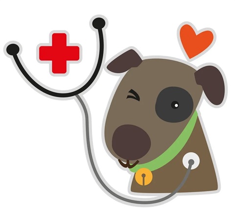 dog-care-vector-1814071.jpg
