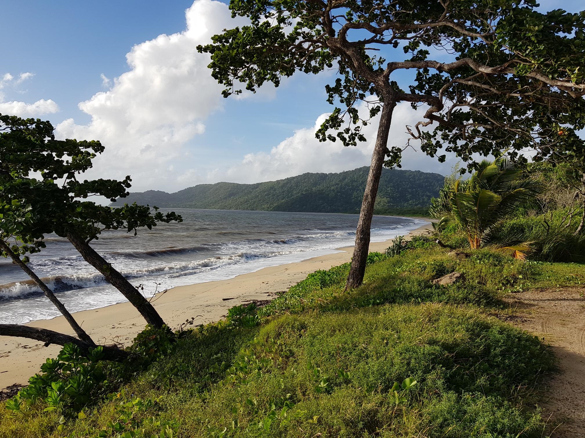 Weary-Bay-beach-scene-looking-south.jpg