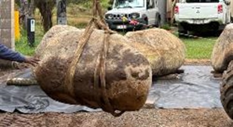 20260603-Mango-Tree-new-boulders-being-moved-into-place-2-cropped-thumbnail.jpg