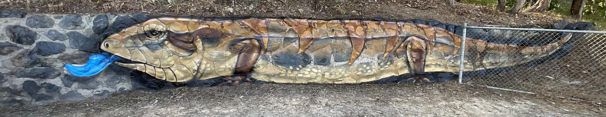 217-Daniel-Wallwork-Mural-Blue-tongue-Carpark-Baja-Baja-Centre.jpg